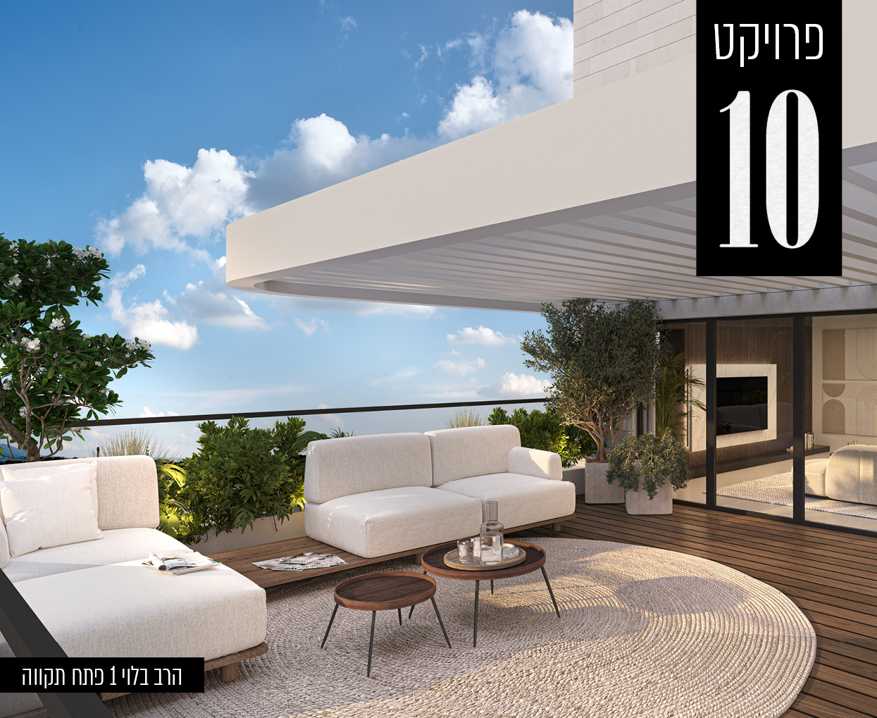 הדמיות10